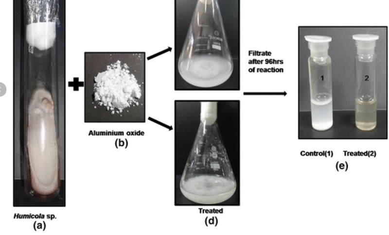 Prevent Aluminum Oxide From Forming Prevent Aluminum Oxide From Forming