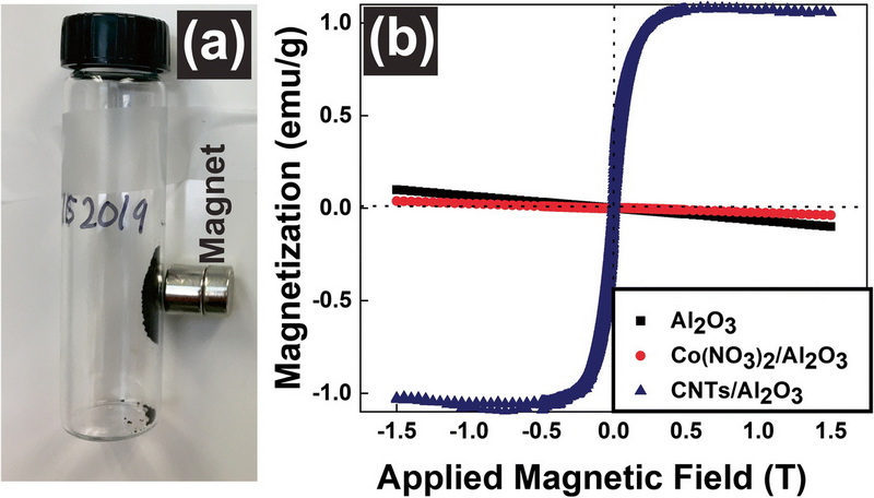 Magnetism In Aluminum Oxide