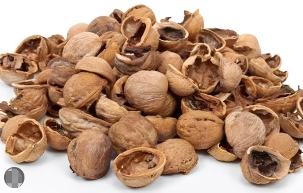 Top Walnut Shell Manufacturers And Suppliers in America