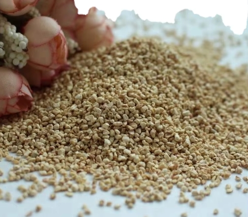 Top Corn Cob Manufacturers And Suppliers in France