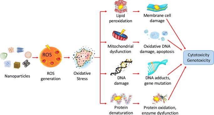 Is Aluminum Oxide Toxic 1