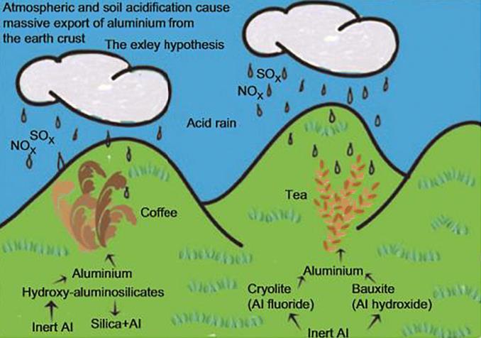 Is Aluminum Oxide Harmful?