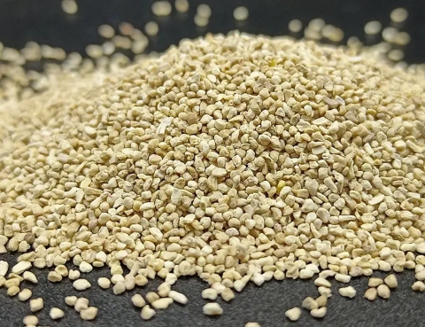 German Corn Cob Product Suppliers
