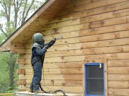 What Is The Best Sandblasting Media for Log Siding Restoration
