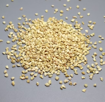 Leading Corn Cob Exporters America