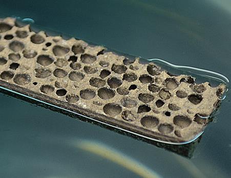 Does Silicon Carbide Sink Or Float?