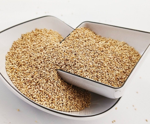 Top Corn Cob Manufacturers And Suppliers in Germany